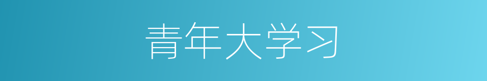 青年大学习的同义词
