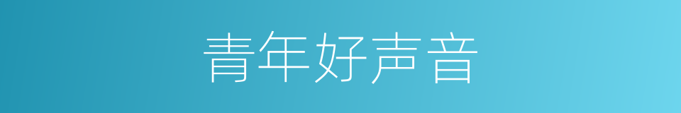 青年好声音的意思