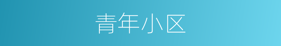 青年小区的同义词