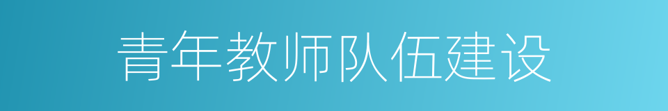 青年教师队伍建设的同义词