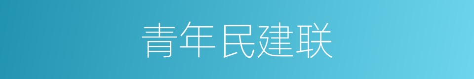 青年民建联的同义词