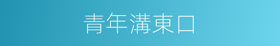 青年溝東口的同義詞