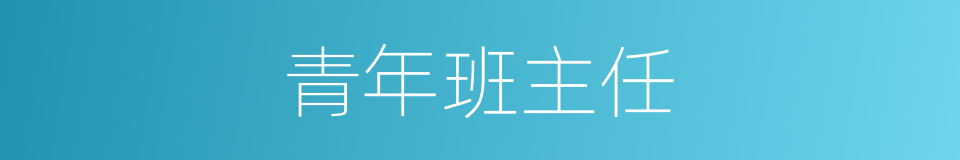 青年班主任的同义词