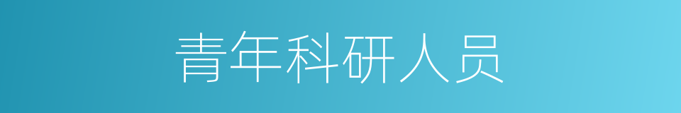 青年科研人员的同义词