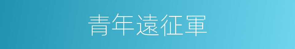 青年遠征軍的同義詞