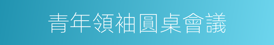 青年領袖圓桌會議的同義詞