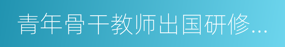 青年骨干教师出国研修项目的同义词