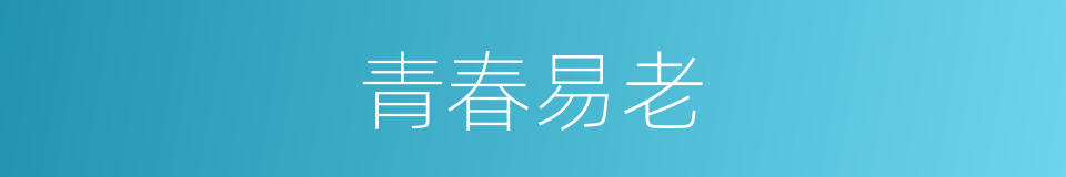 青春易老的同义词