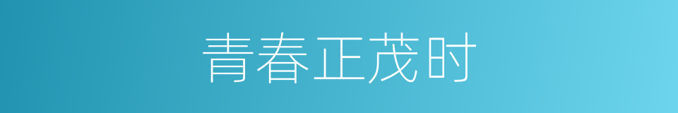 青春正茂时的同义词