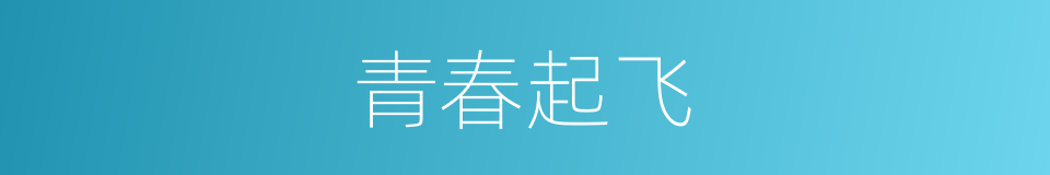 青春起飞的同义词