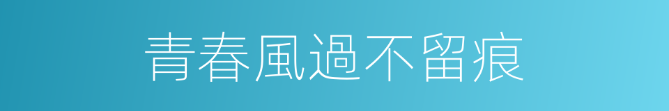 青春風過不留痕的同義詞