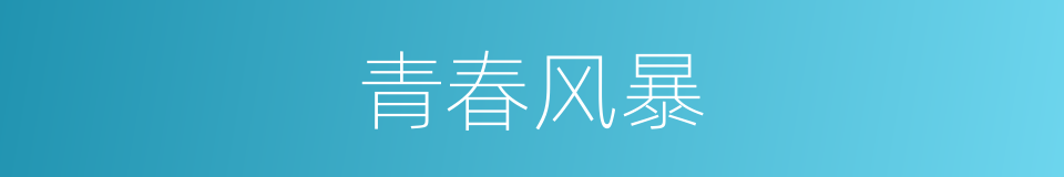 青春风暴的同义词