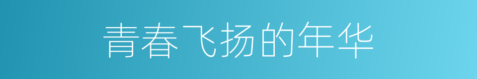 青春飞扬的年华的同义词