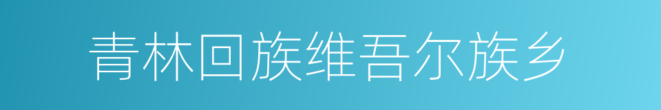 青林回族维吾尔族乡的同义词