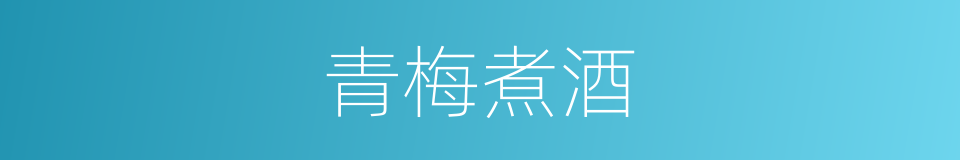 青梅煮酒的意思