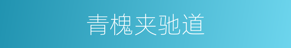 青槐夹驰道的同义词