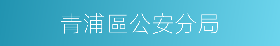 青浦區公安分局的同義詞