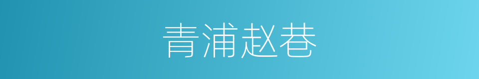 青浦赵巷的同义词