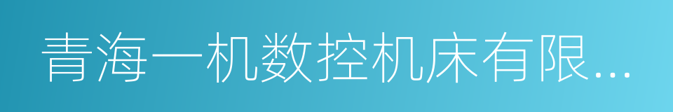 青海一机数控机床有限责任公司的同义词