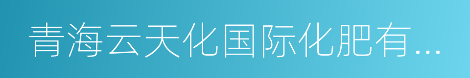 青海云天化国际化肥有限公司的同义词