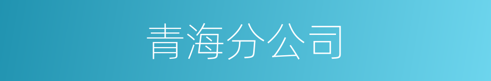 青海分公司的同义词