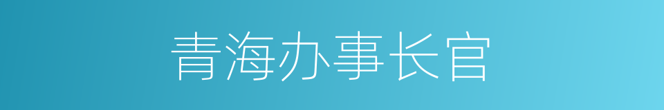 青海办事长官的同义词