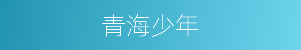 青海少年的同义词