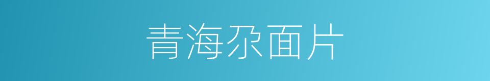 青海尕面片的同义词