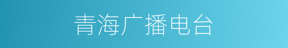 青海广播电台的同义词