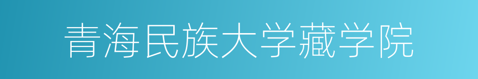 青海民族大学藏学院的同义词