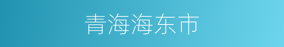 青海海东市的同义词