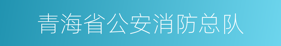 青海省公安消防总队的同义词