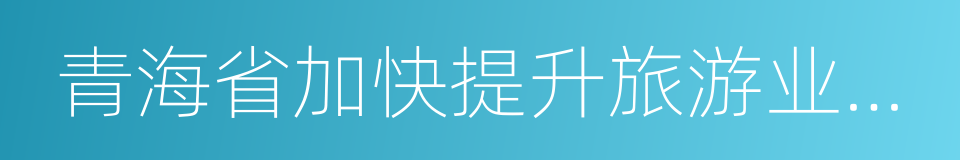 青海省加快提升旅游业发展行动方案的同义词