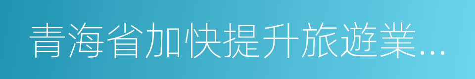 青海省加快提升旅遊業發展行動方案的同義詞