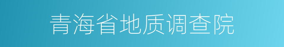 青海省地质调查院的同义词