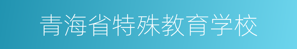 青海省特殊教育学校的同义词