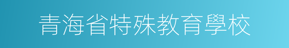 青海省特殊教育學校的同義詞