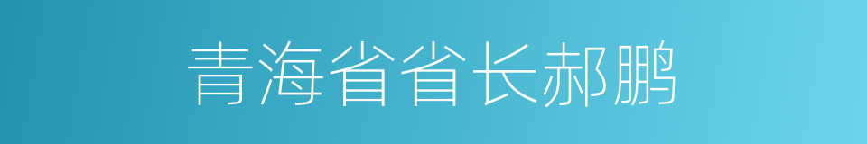 青海省省长郝鹏的同义词