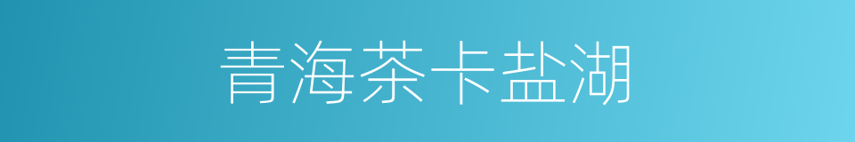 青海茶卡盐湖的同义词