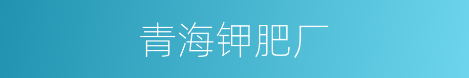 青海钾肥厂的同义词