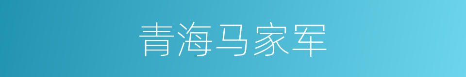 青海马家军的同义词