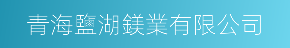 青海鹽湖鎂業有限公司的同義詞