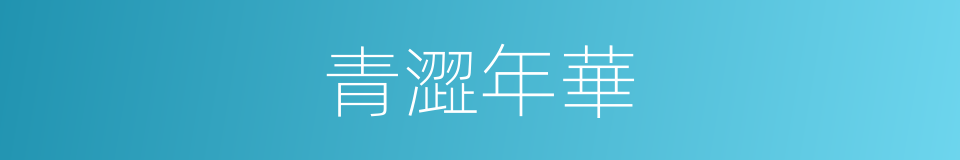 青澀年華的意思