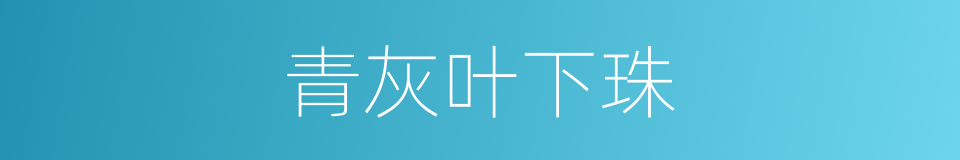 青灰叶下珠的同义词