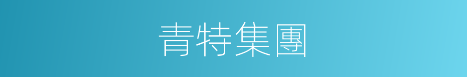 青特集團的同義詞