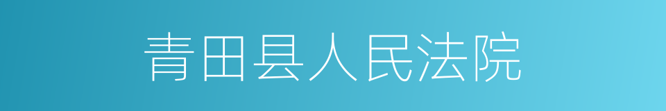 青田县人民法院的同义词