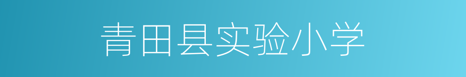 青田县实验小学的同义词