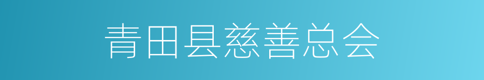 青田县慈善总会的同义词