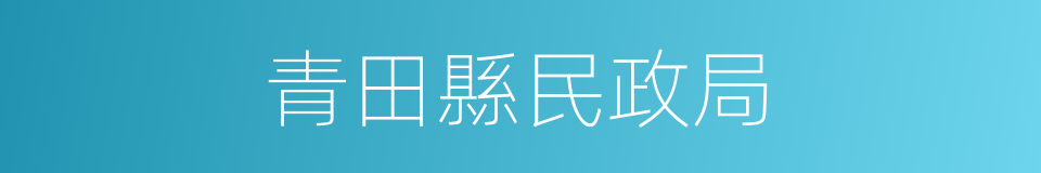 青田縣民政局的同義詞