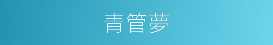青管夢的意思